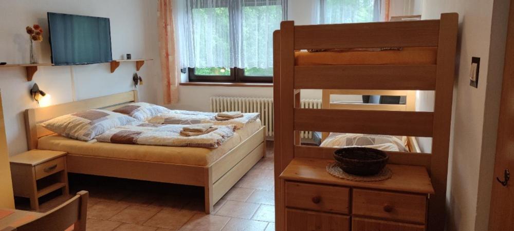Apartament U Machacku - Lipno Lipno nad Vltavou Zewnętrze zdjęcie