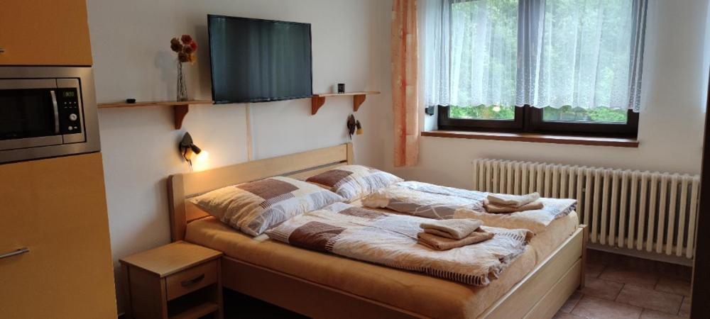 Apartament U Machacku - Lipno Lipno nad Vltavou Zewnętrze zdjęcie
