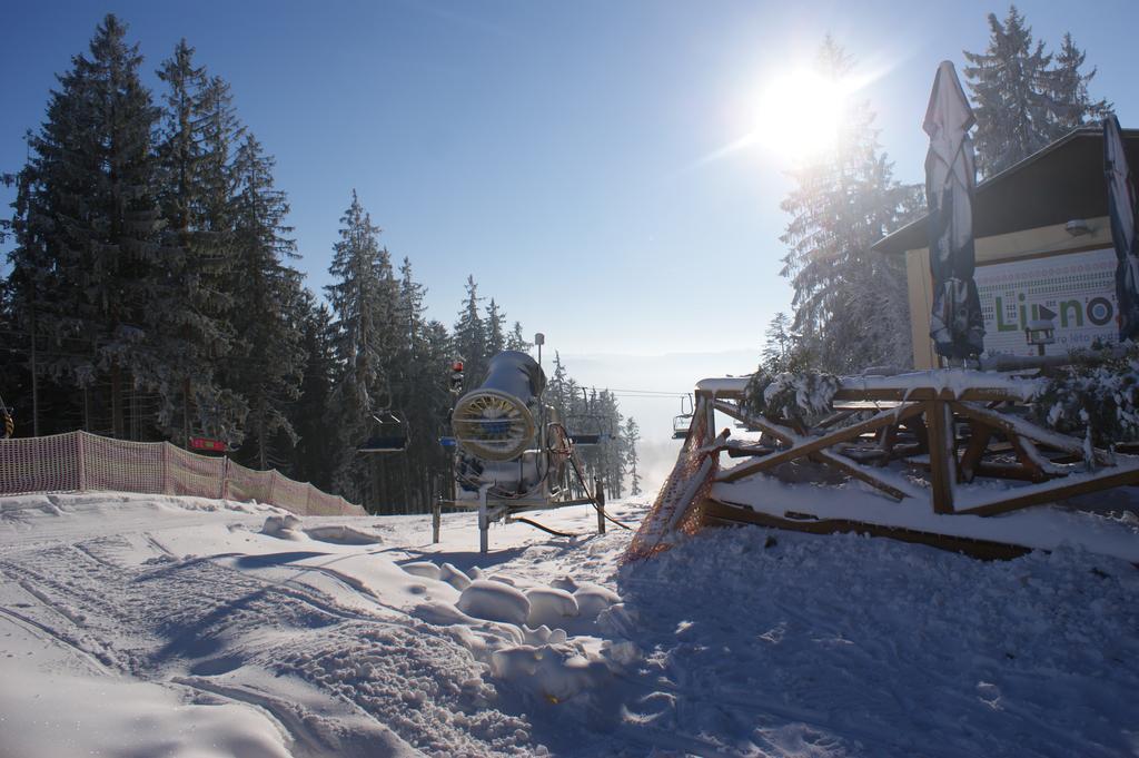 Apartament U Machacku - Lipno Lipno nad Vltavou Zewnętrze zdjęcie