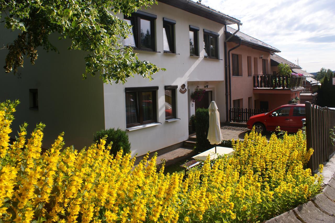 Apartament U Machacku - Lipno Lipno nad Vltavou Zewnętrze zdjęcie